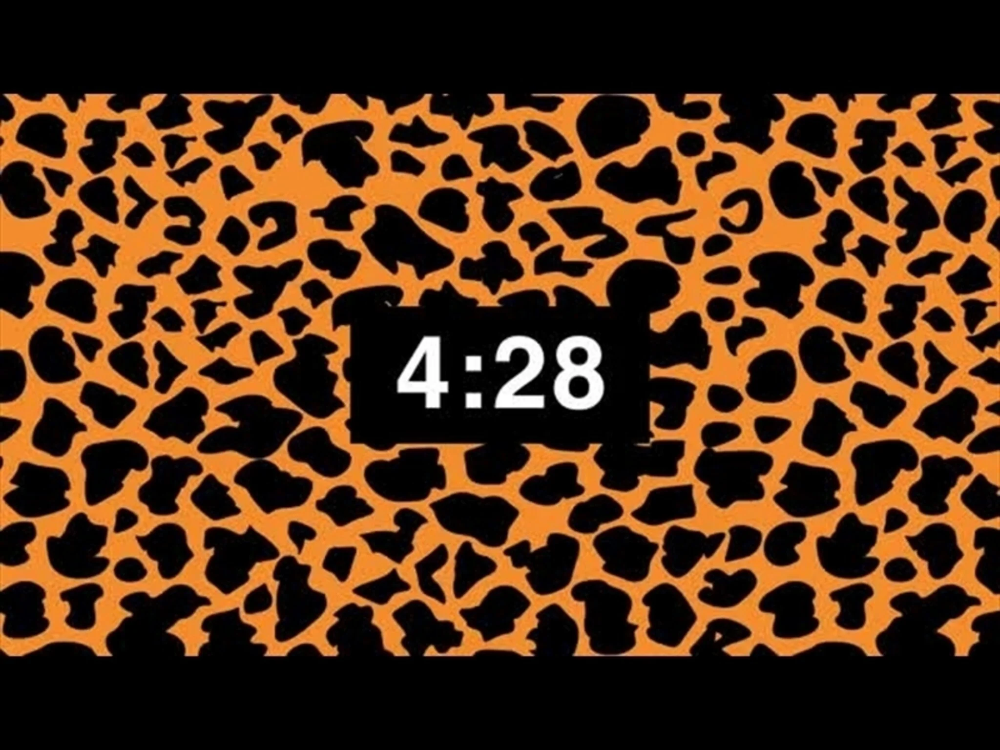 The Reptile Hunter - Elementary 5 Minute Countdown