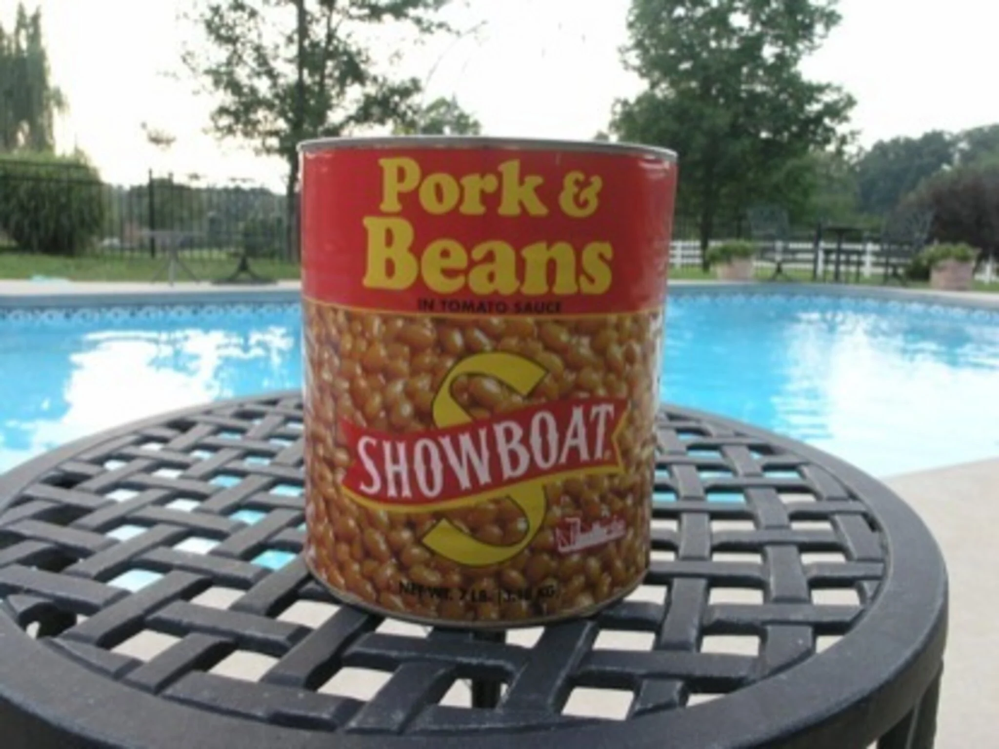 Will It Float: Pork N Beans