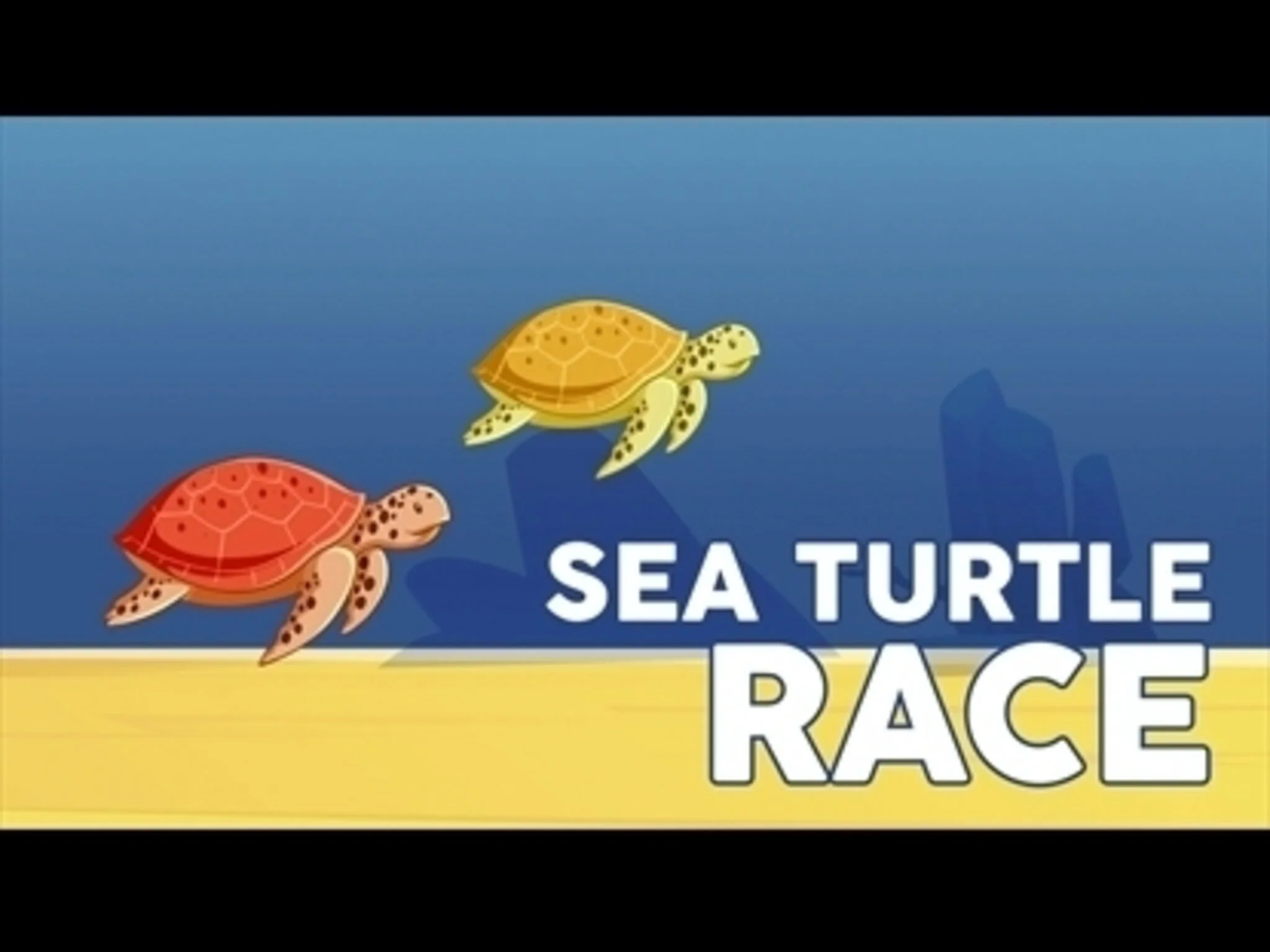 Sea Turtle Race