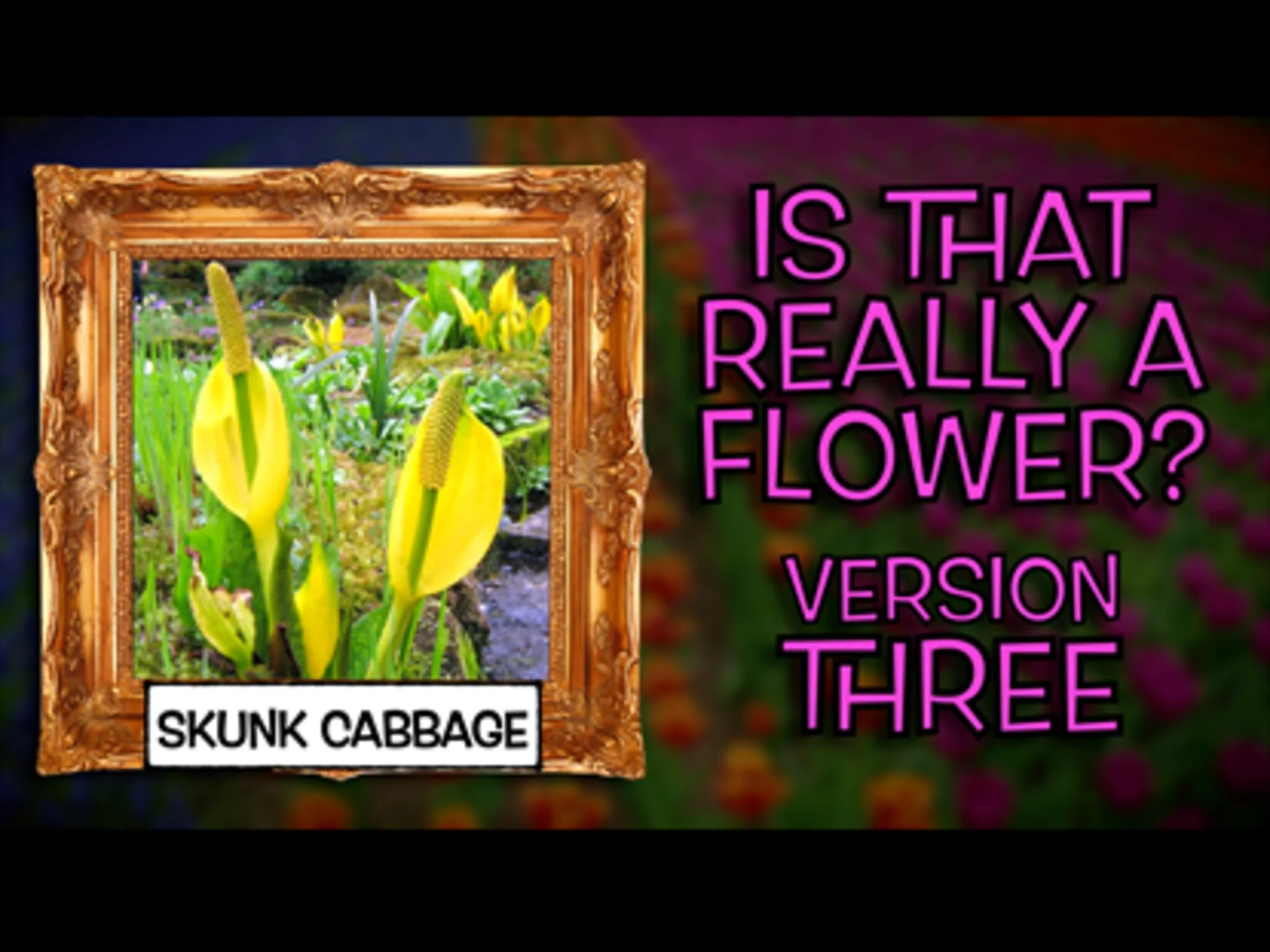 Is That Really A Flower? Version 3