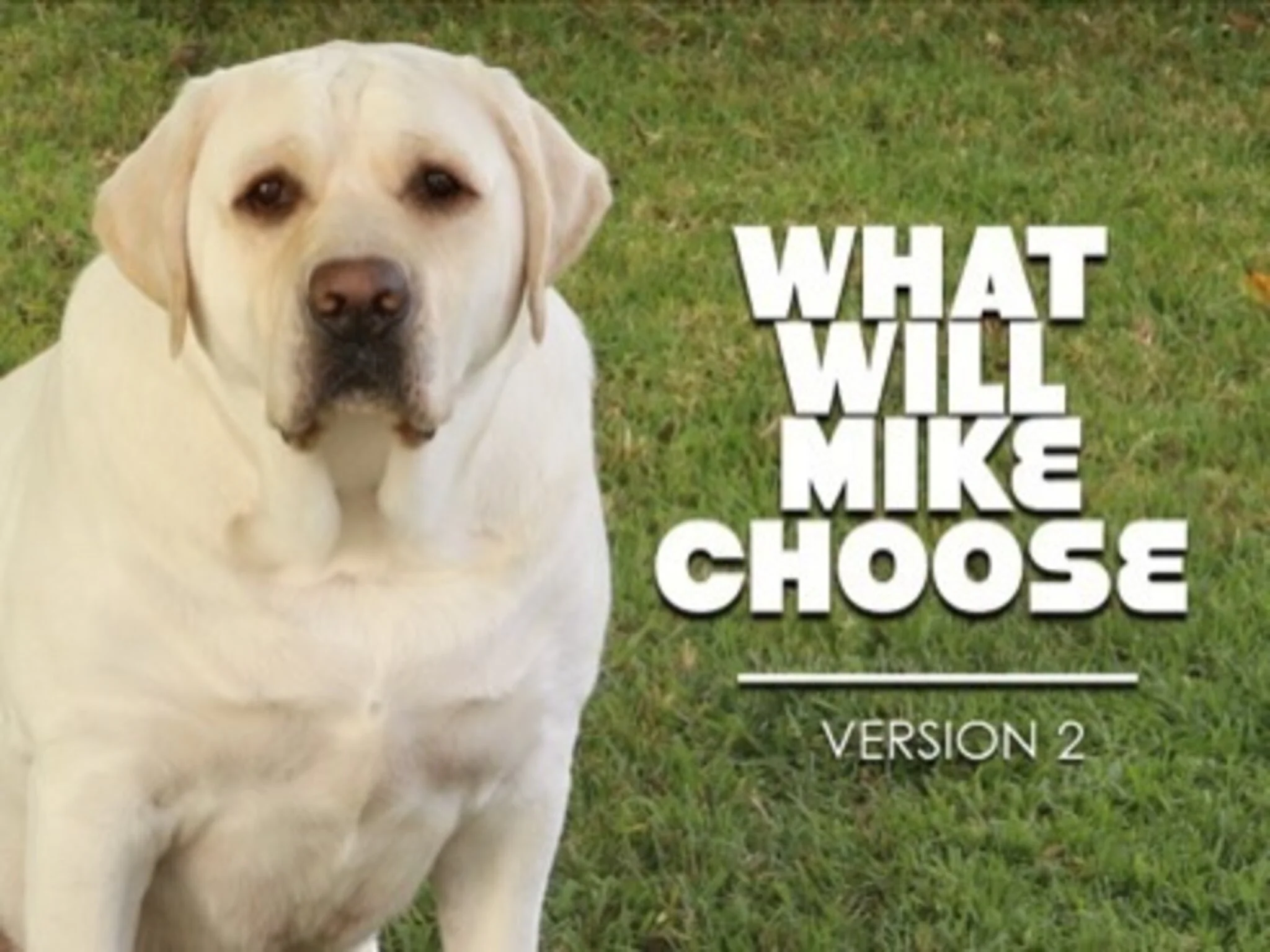 What Will Mike Choose Version 2