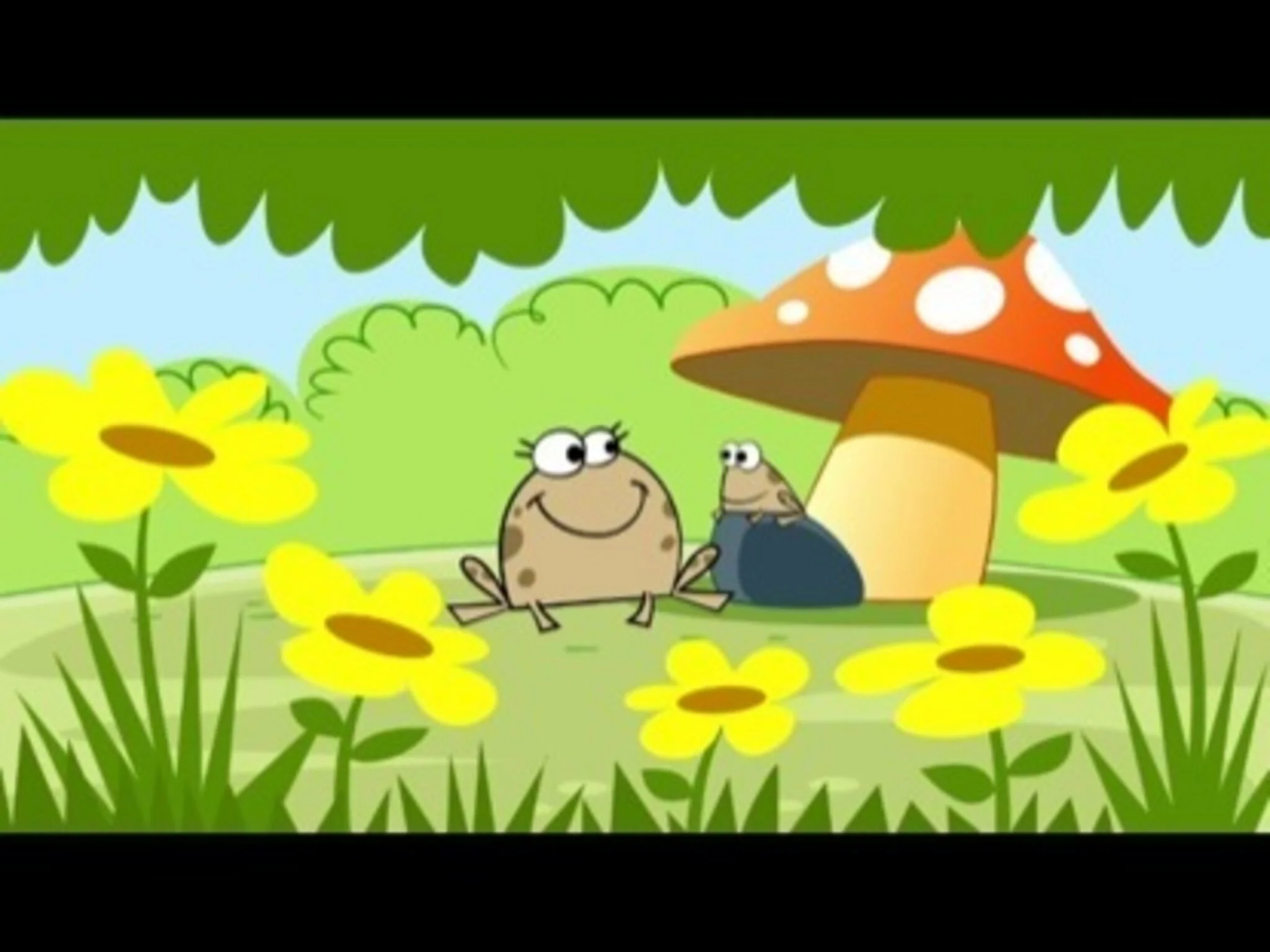 The Wide Mouth Toad