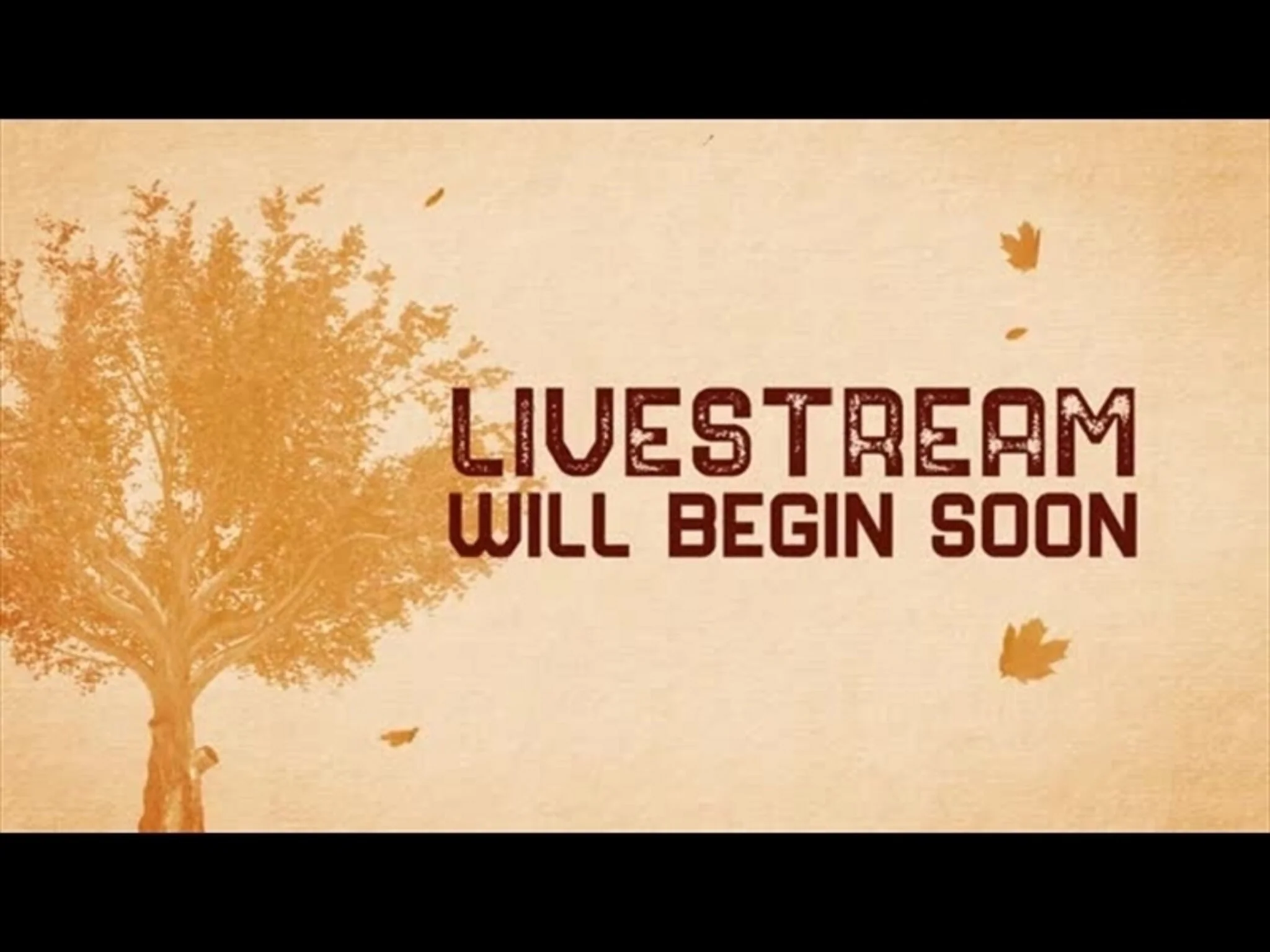 Fall Volume one: livestream