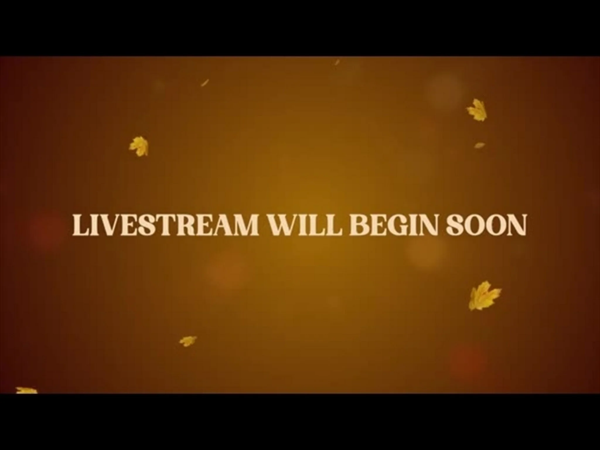 Fall Volume two: livestream