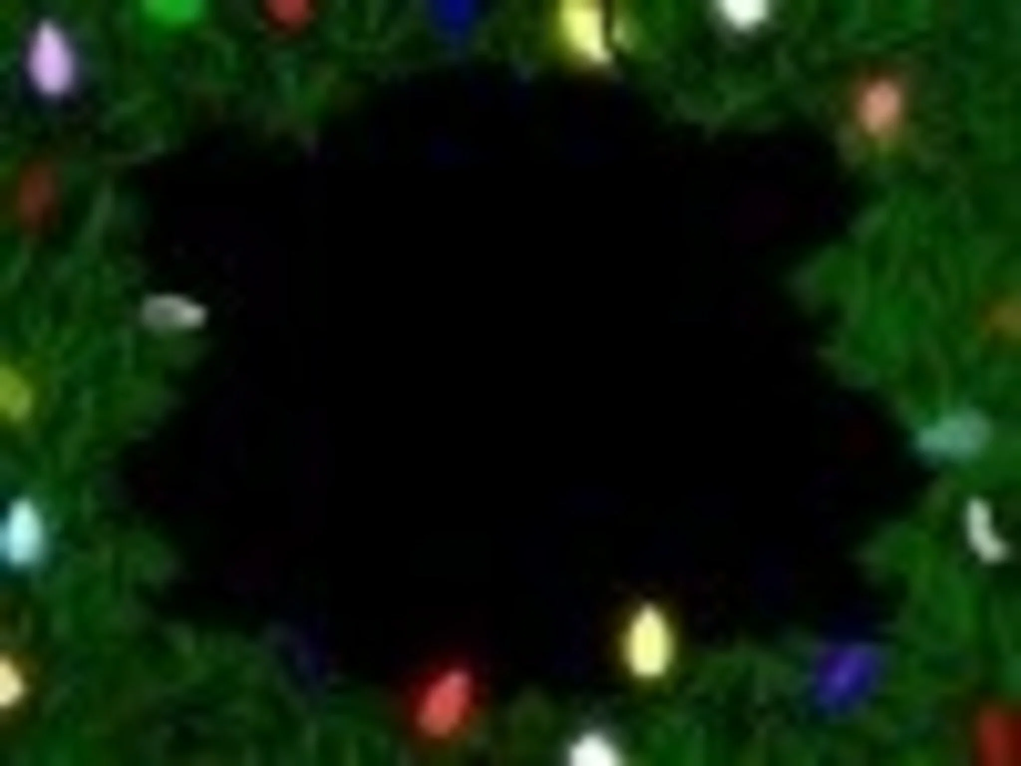 Lighted Border