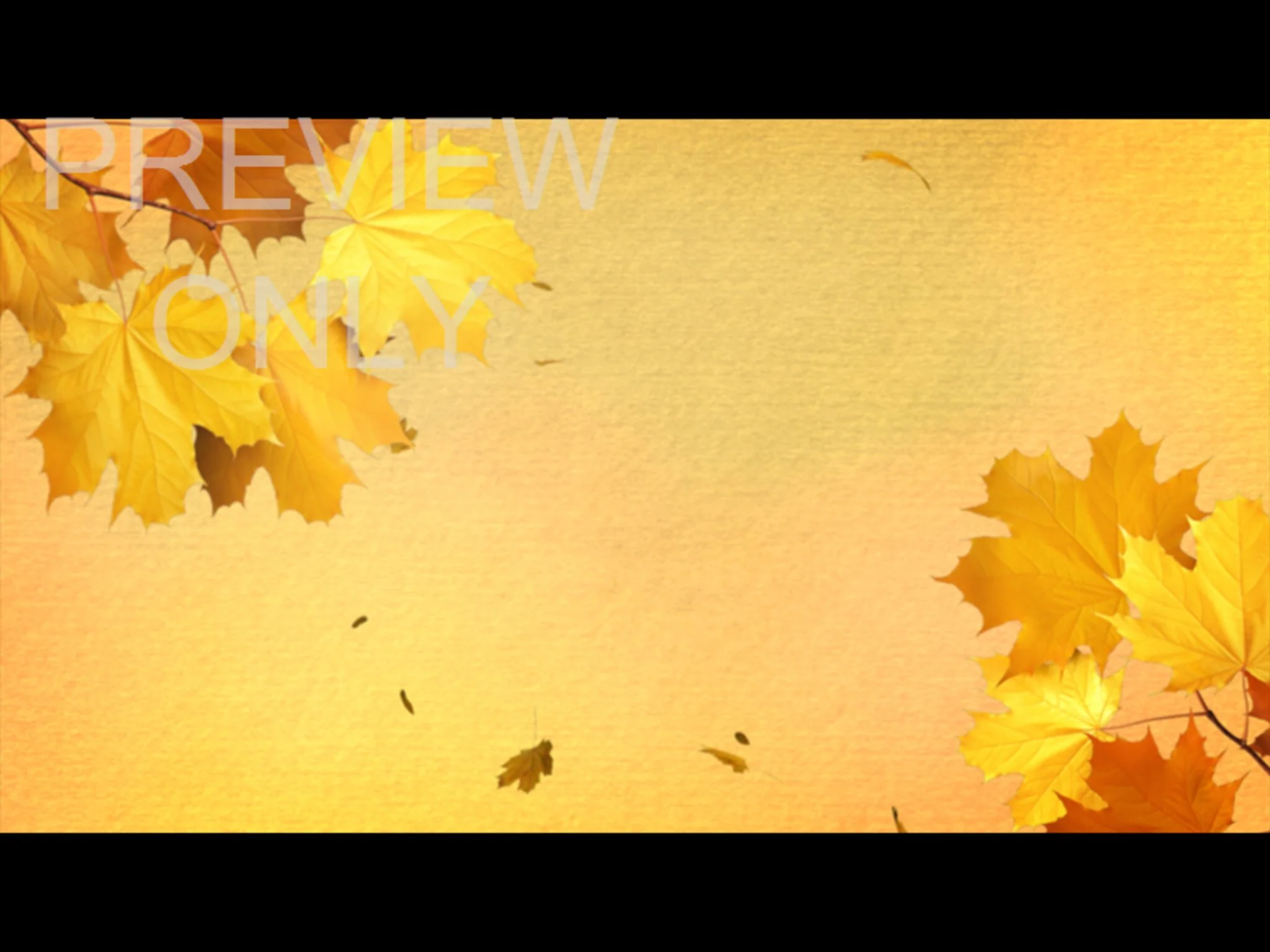 fall volume one: still 04